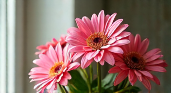 Die 6 häufigsten Fehler bei der Auswahl von Blumen