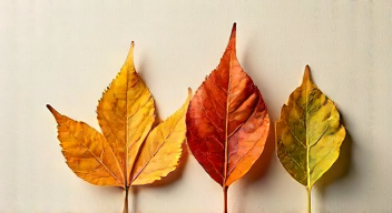 Perspektiven zu Fylrevy und den Wechseljahren